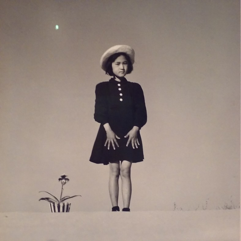 #Tokyo #Japon #Japan