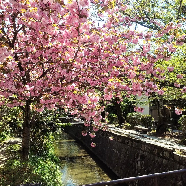 #Tokyo #Japon #Japan